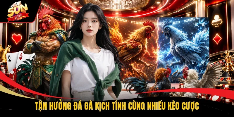 Tận hưởng đá gà kịch tính cùng nhiều kèo cược